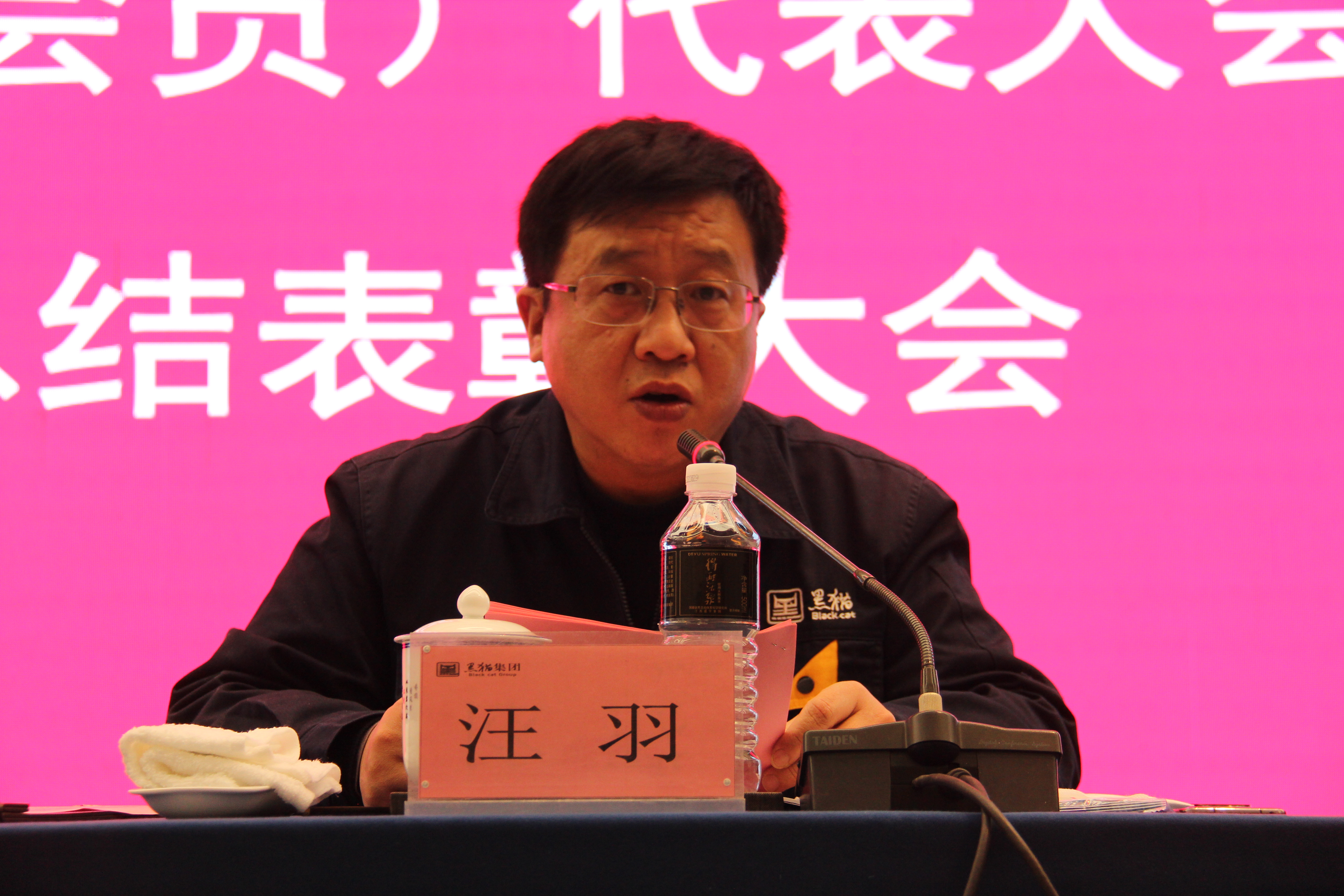 黑貓集團(tuán)黨委副書記、總經(jīng)理汪羽發(fā)言 (2).JPG