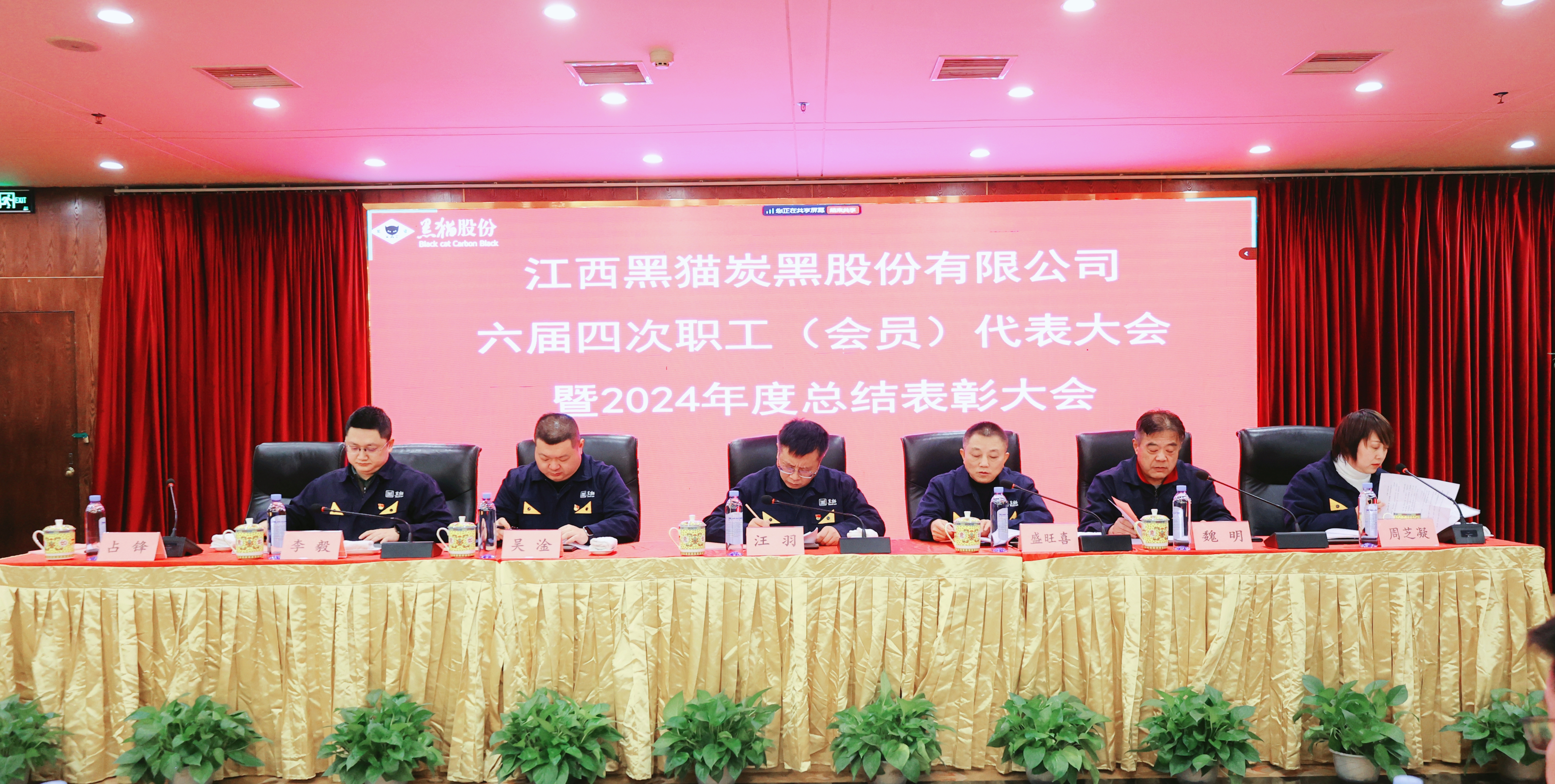 黑貓股份六屆四次職工（會(huì)員）代表大會(huì)暨2024年度總結(jié)表彰大會(huì)召開(kāi)